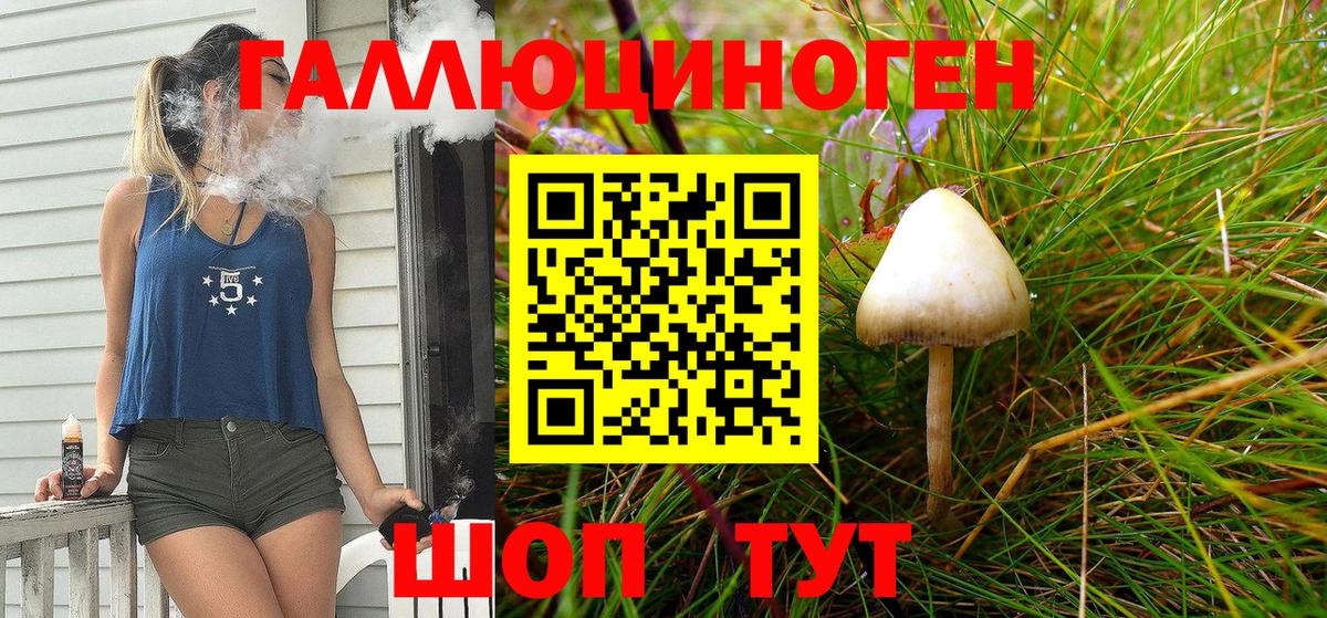Евпатория  Галлюциногенные грибы Cubensis  где купить наркоту  Вход с VPN 